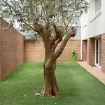 Magnolia - Exclusive Garden بورتو